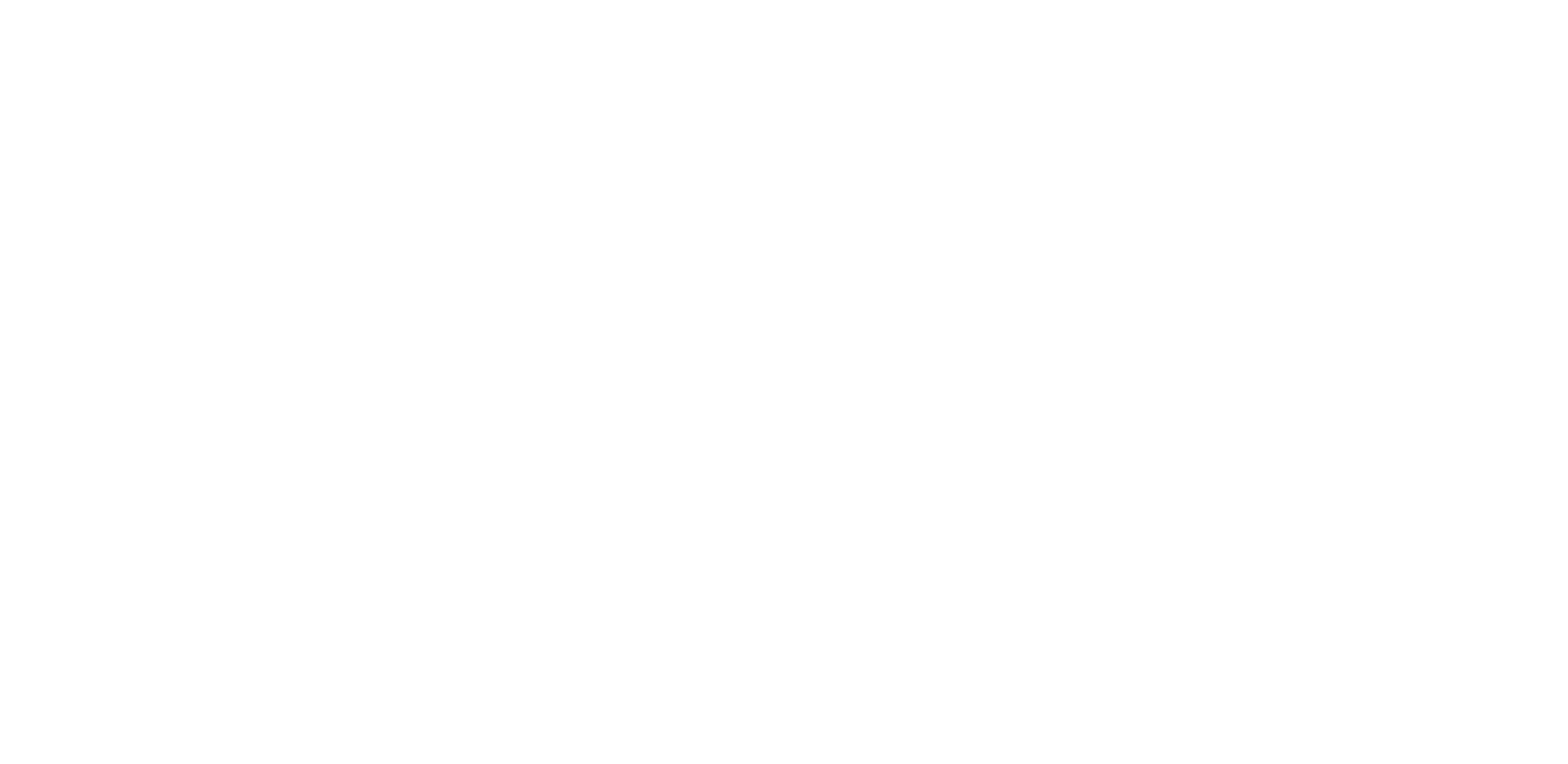 IION logo